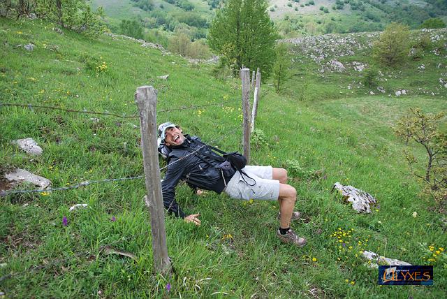 a passo di granchio.JPG